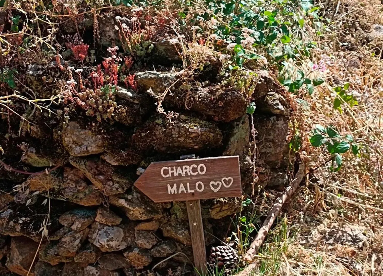 Cercado De Arriba Apartamento Cortelazor Espanha